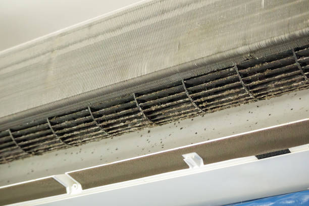 Best Affordable Air Duct Cleaning  in Silver Springs Shores, FL